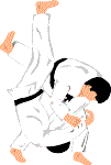 judo2.gif - 3.2 K